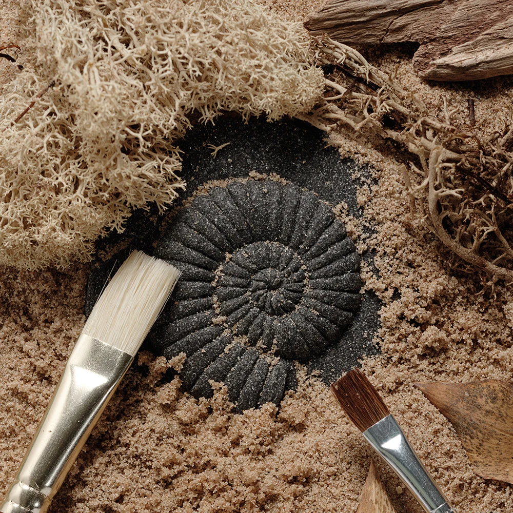 Yellow Door® Let's Investigate Fossils Discovery Kit - Image 6