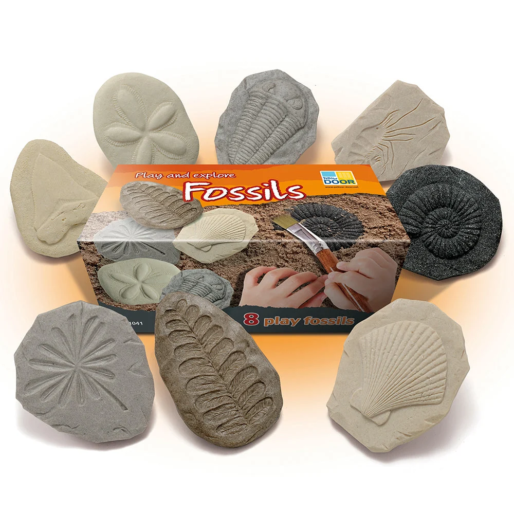 Yellow Door® Let's Investigate Fossils Discovery Kit - Image 7