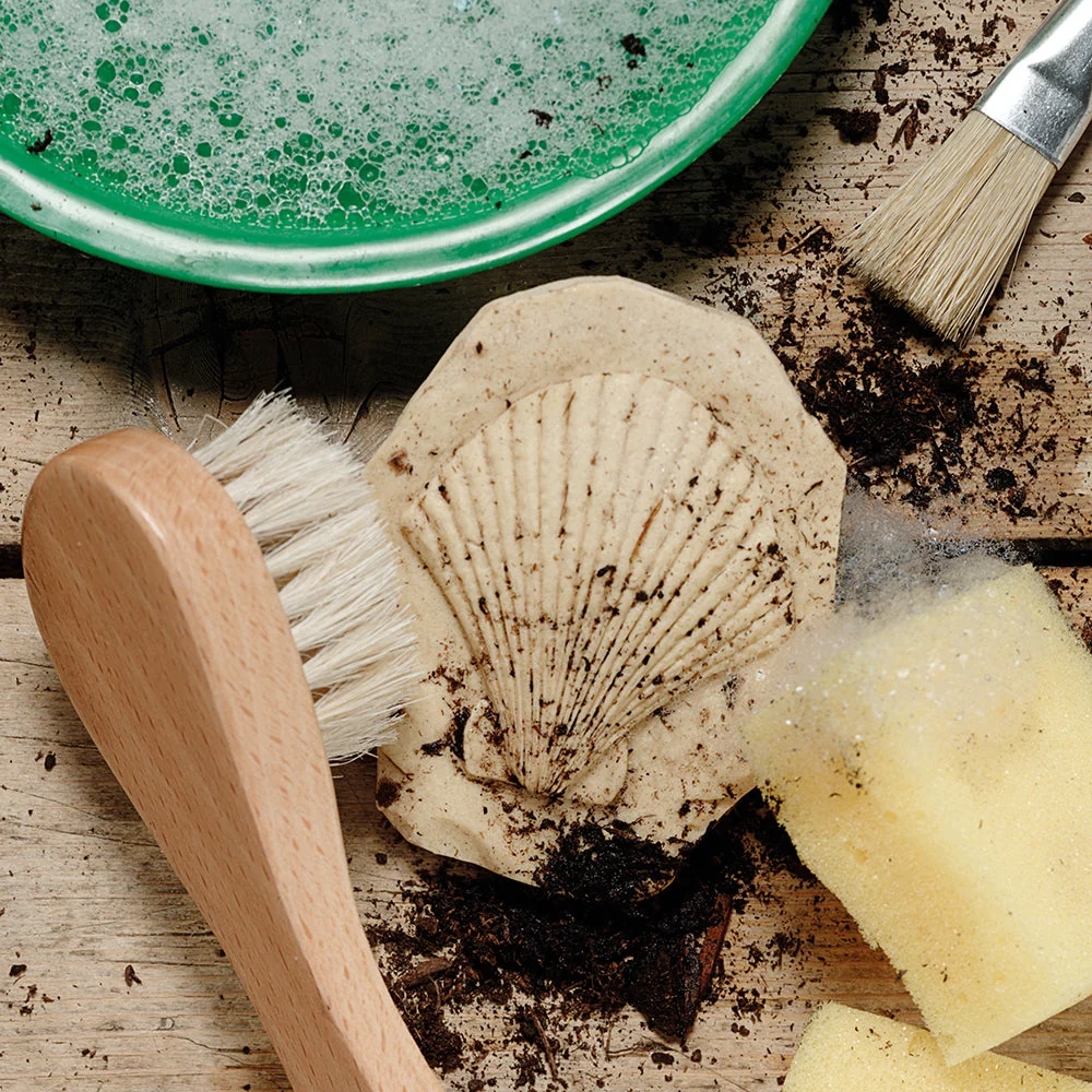 Yellow Door® Let's Investigate Fossils Discovery Kit - Image 8