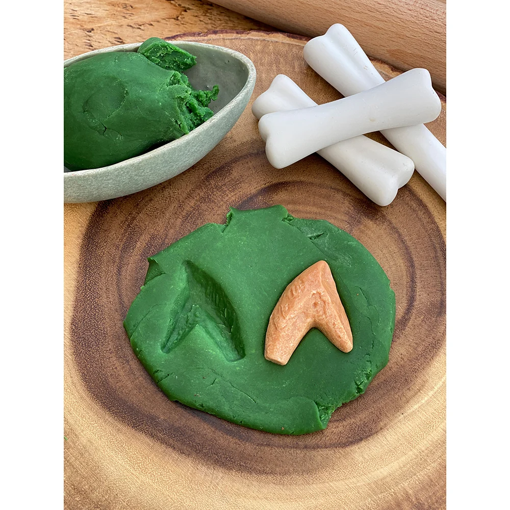 Yellow Door® Let’s Investigate Prehistoric Teeth | 8 Durable Fossil Tooth Replicas for Sensory Play, STEM Learning & Paleontology Exploration - Image 13
