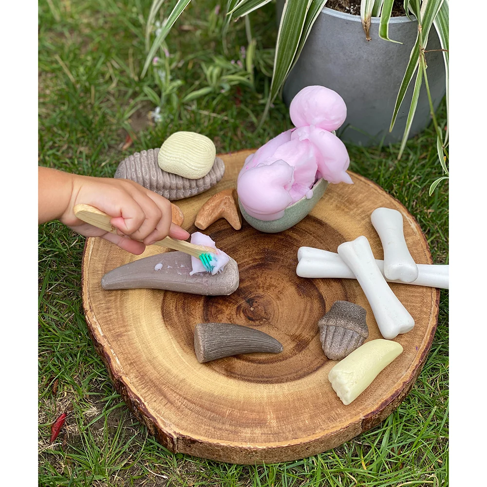 Yellow Door® Let’s Investigate Prehistoric Teeth | 8 Durable Fossil Tooth Replicas for Sensory Play, STEM Learning & Paleontology Exploration - Image 15