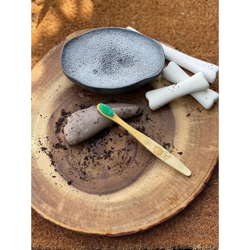 Yellow Door® Let’s Investigate Prehistoric Teeth | 8 Durable Fossil Tooth Replicas for Sensory Play, STEM Learning & Paleontology Exploration - Image 16