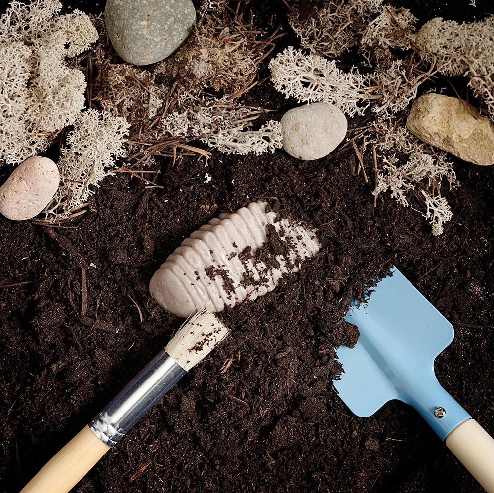 Yellow Door® Let’s Investigate Prehistoric Teeth | 8 Durable Fossil Tooth Replicas for Sensory Play, STEM Learning & Paleontology Exploration - Image 17