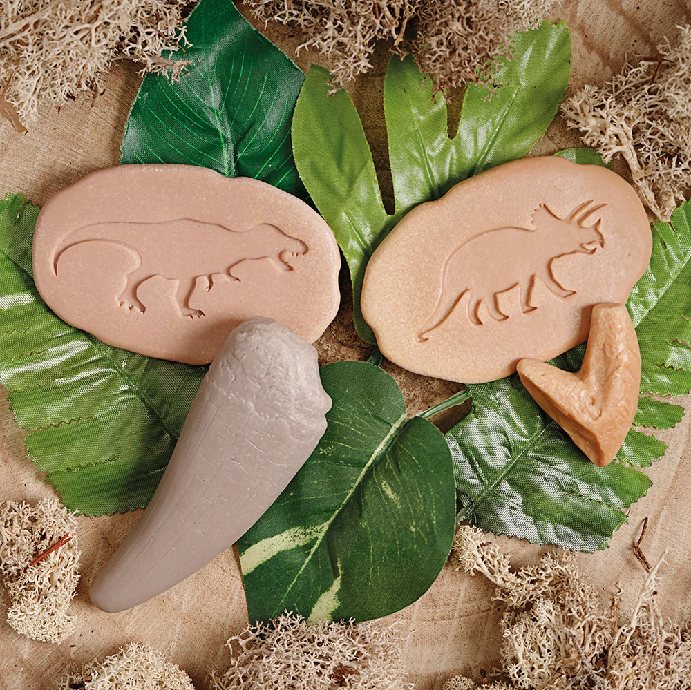 Yellow Door® Let’s Investigate Prehistoric Teeth | 8 Durable Fossil Tooth Replicas for Sensory Play, STEM Learning & Paleontology Exploration - Image 18
