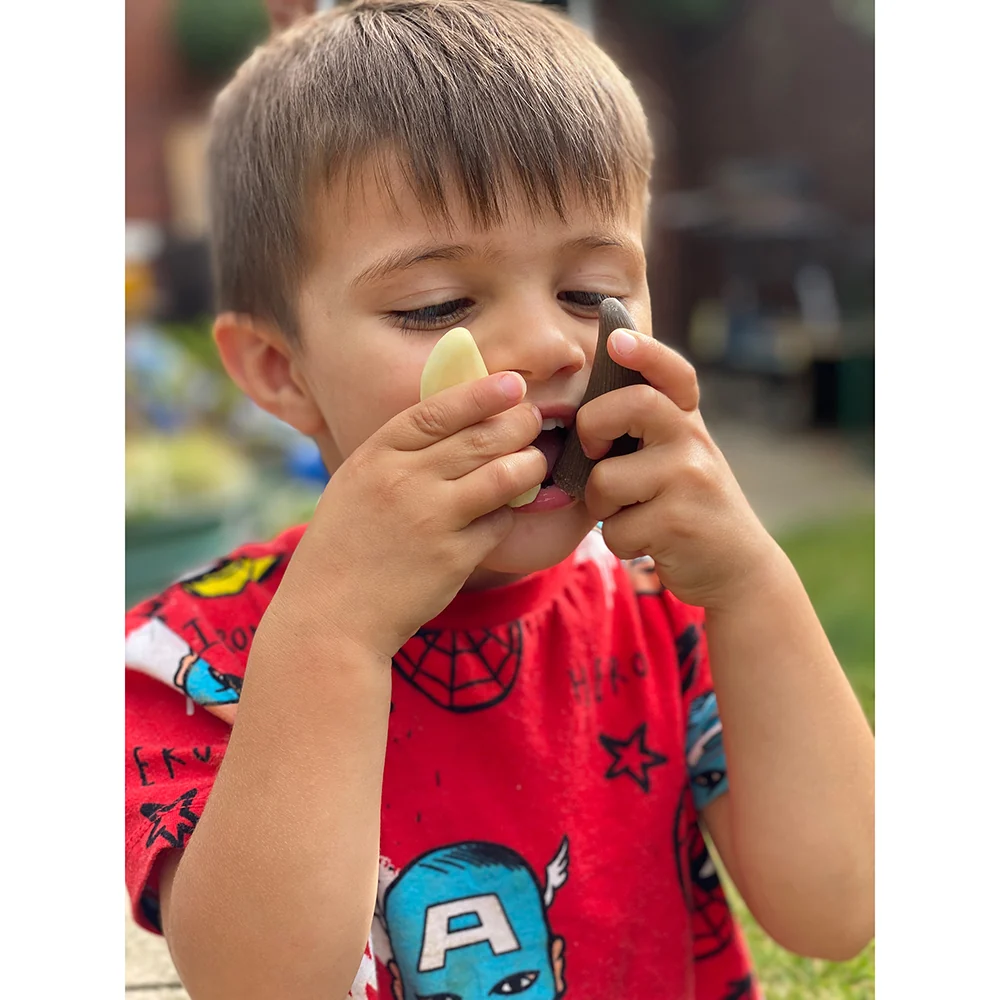 Yellow Door® Let’s Investigate Prehistoric Teeth | 8 Durable Fossil Tooth Replicas for Sensory Play, STEM Learning & Paleontology Exploration - Image 20