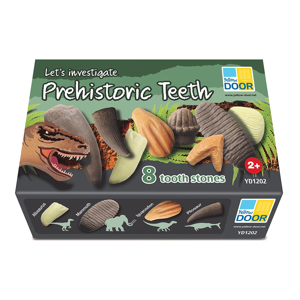 Yellow Door® Let’s Investigate Prehistoric Teeth | 8 Durable Fossil Tooth Replicas for Sensory Play, STEM Learning & Paleontology Exploration - Image 23