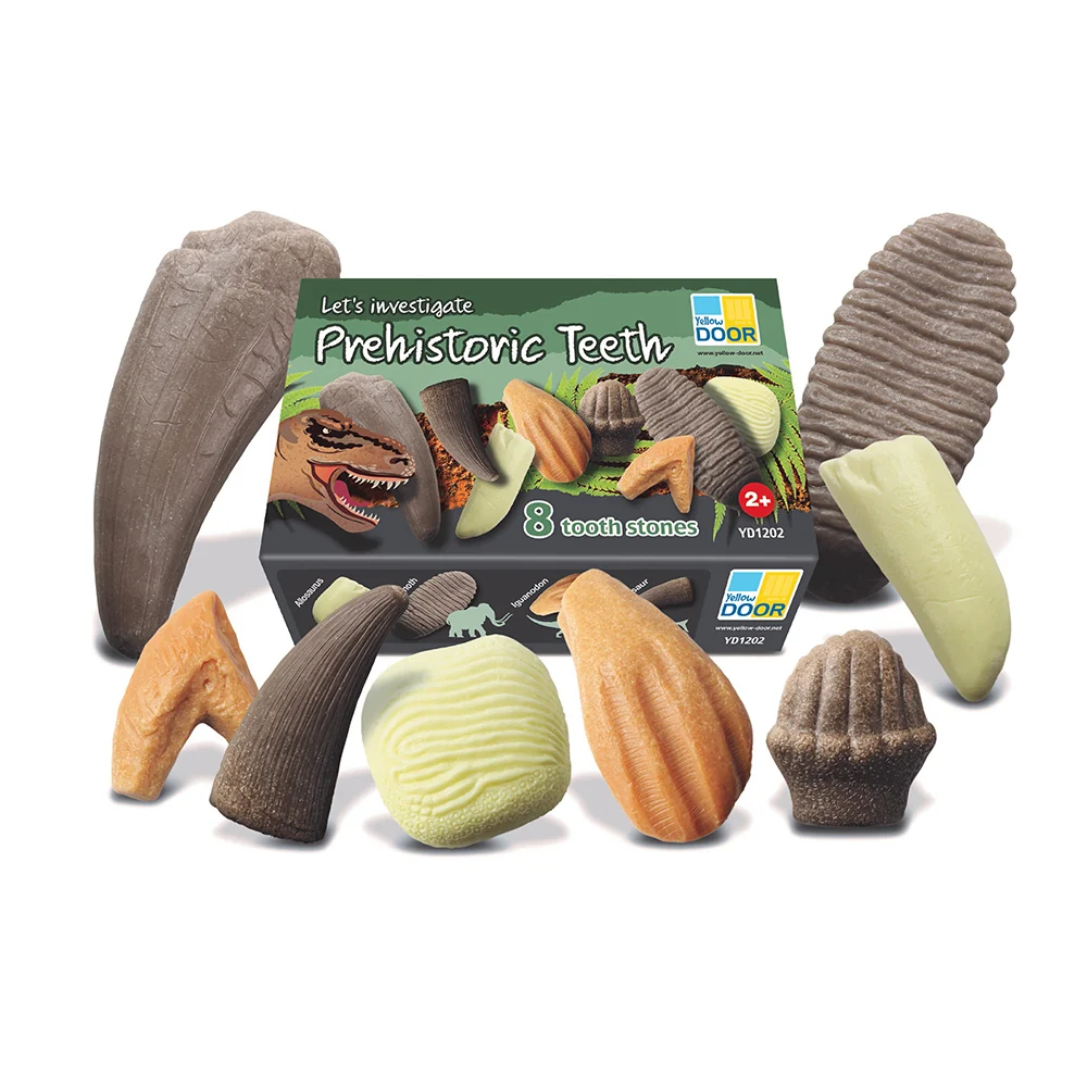 Yellow Door® Let’s Investigate Prehistoric Teeth | 8 Durable Fossil Tooth Replicas for Sensory Play, STEM Learning & Paleontology Exploration - Image 4