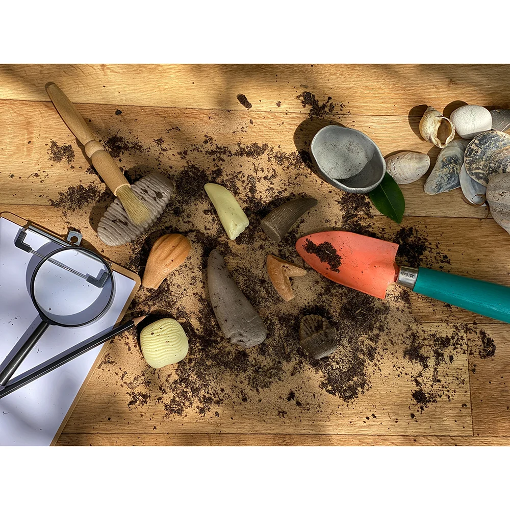 Yellow Door® Let’s Investigate Prehistoric Teeth | 8 Durable Fossil Tooth Replicas for Sensory Play, STEM Learning & Paleontology Exploration - Image 6