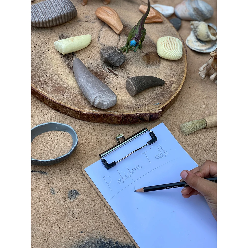 Yellow Door® Let’s Investigate Prehistoric Teeth | 8 Durable Fossil Tooth Replicas for Sensory Play, STEM Learning & Paleontology Exploration - Image 7