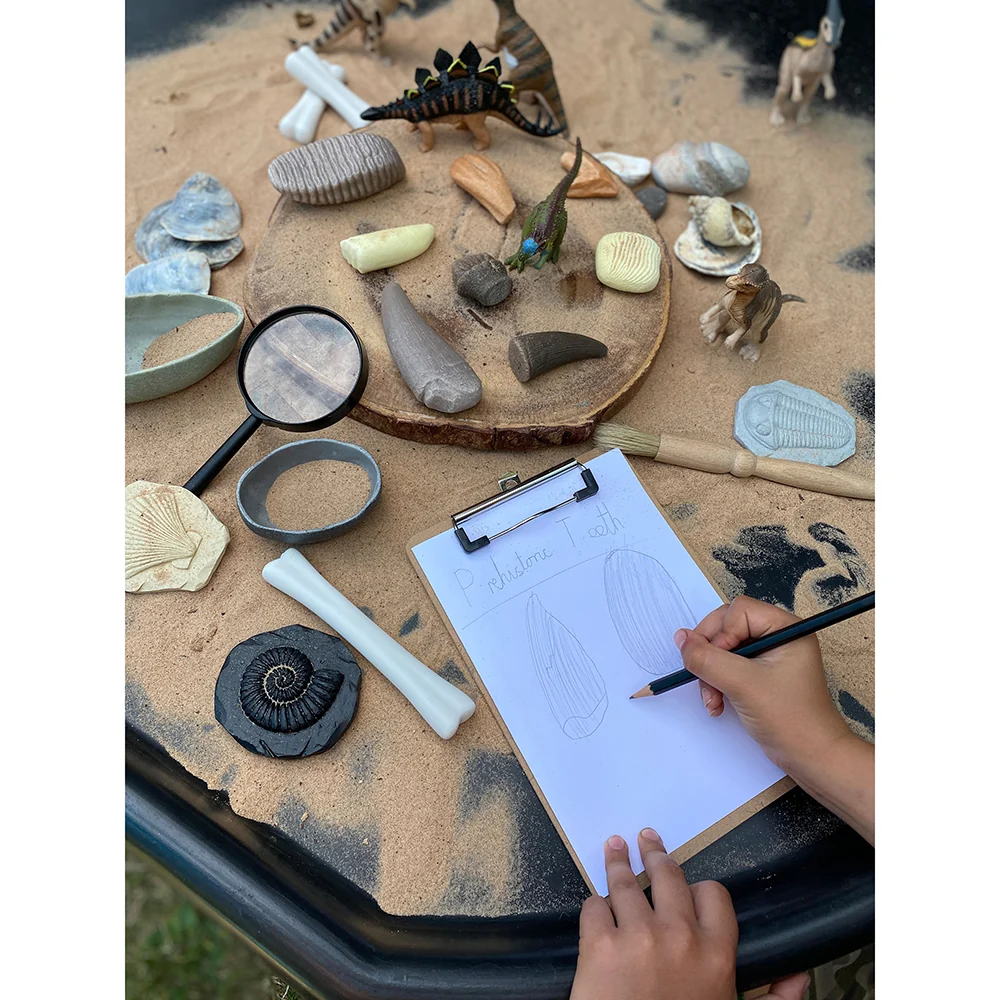 Yellow Door® Let’s Investigate Prehistoric Teeth | 8 Durable Fossil Tooth Replicas for Sensory Play, STEM Learning & Paleontology Exploration - Image 8