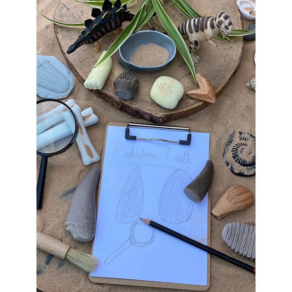 Yellow Door® Let’s Investigate Prehistoric Teeth | 8 Durable Fossil Tooth Replicas for Sensory Play, STEM Learning & Paleontology Exploration - Image 9