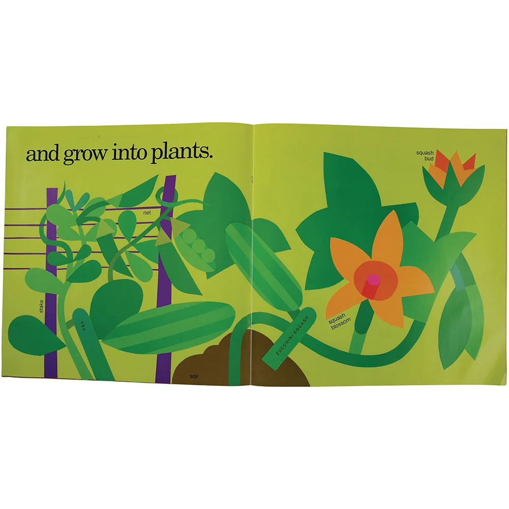 Look And Learn Big Book-Growing Senses - Image 2