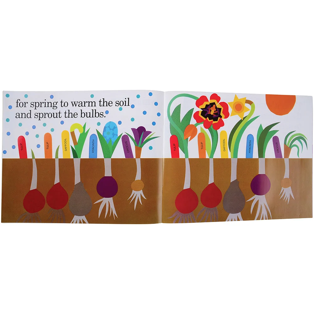 Look And Learn Big Book-Planting A Rainbow - Image 2