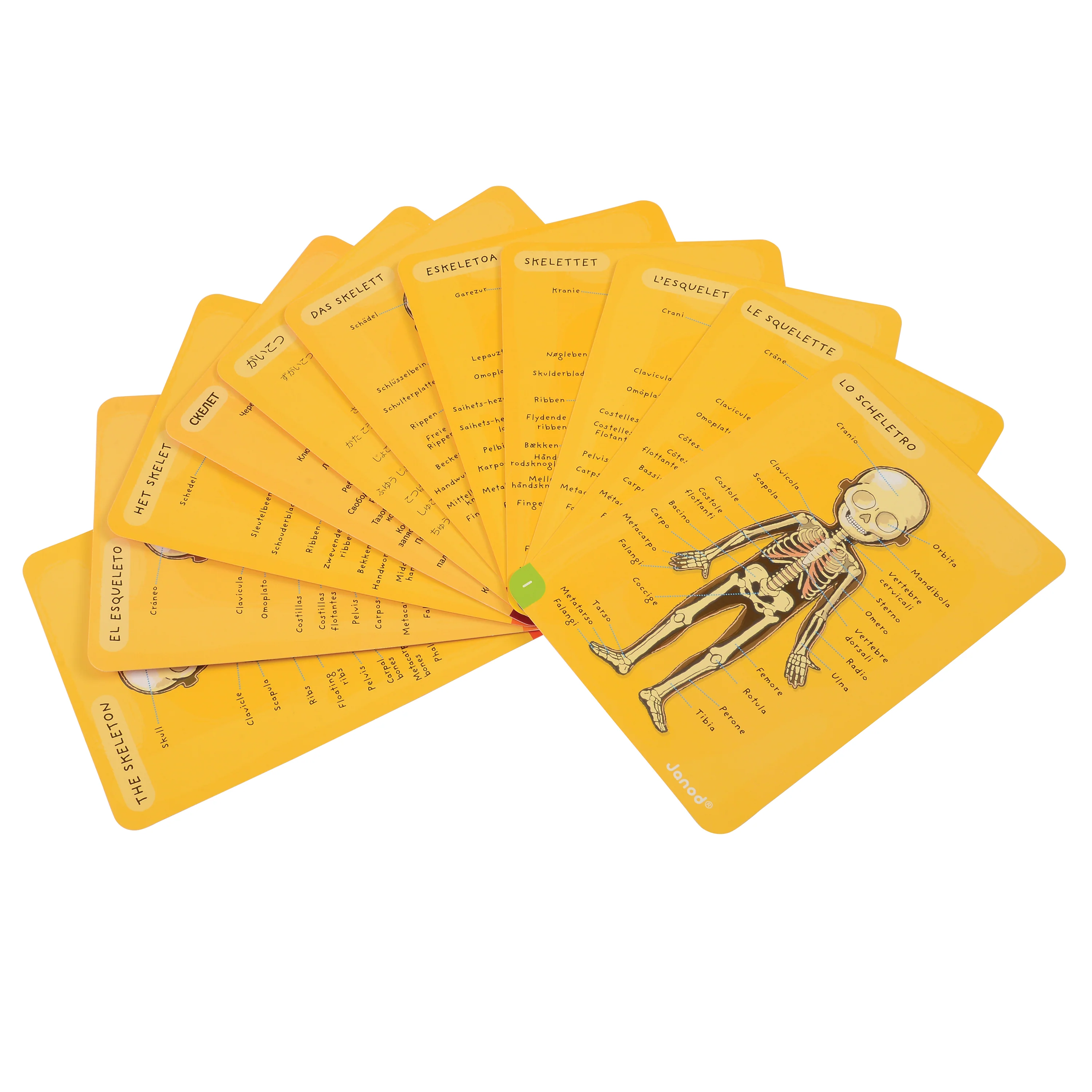 Magnetic Body Puzzle - Learn about the Body - Image 10