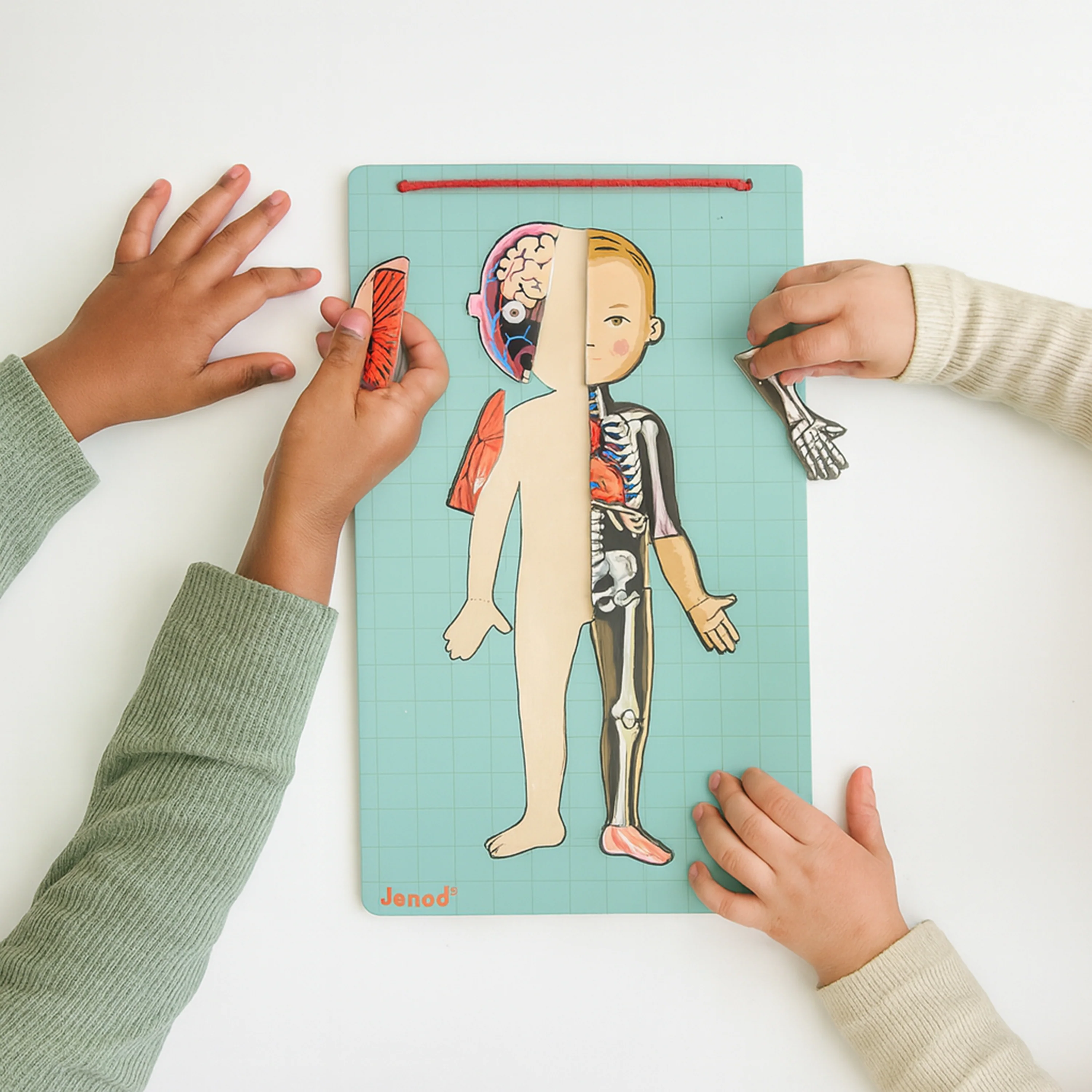 Magnetic Body Puzzle - Learn about the Body - Image 2