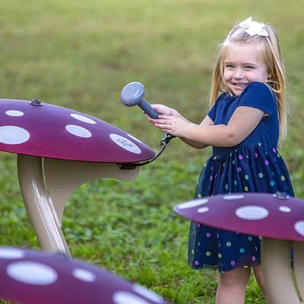 Mushroom Musical Ensemble - Image 2