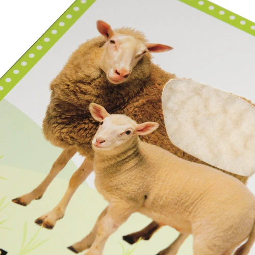 My First Touch & Feel Cards / Farm - Image 3
