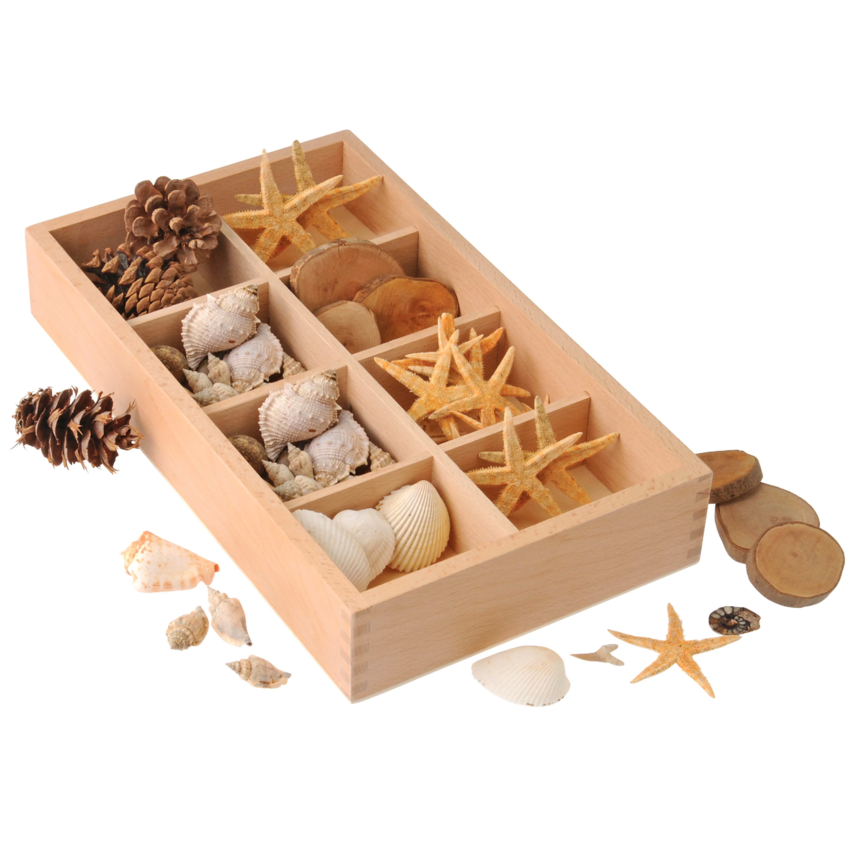 Includes Star Fish, Seashells, Pine Cones, and Tree Rings to sort and classify in the included Wood Sorting Box. - Image 3