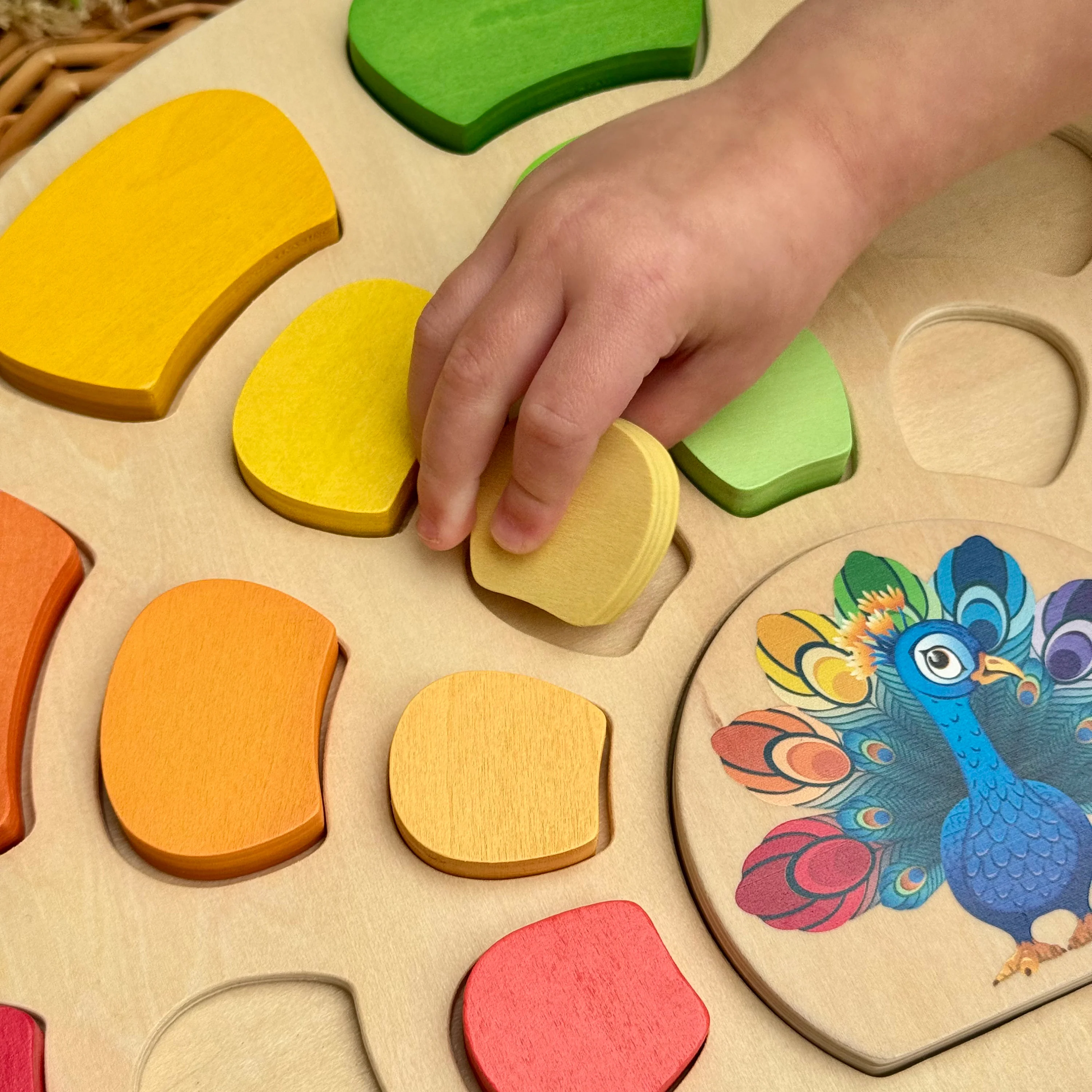 Pattern and Play Peacock Wooden Puzzle | Color Sorting, Patterning & Fine Motor Learning Toy - Image 9