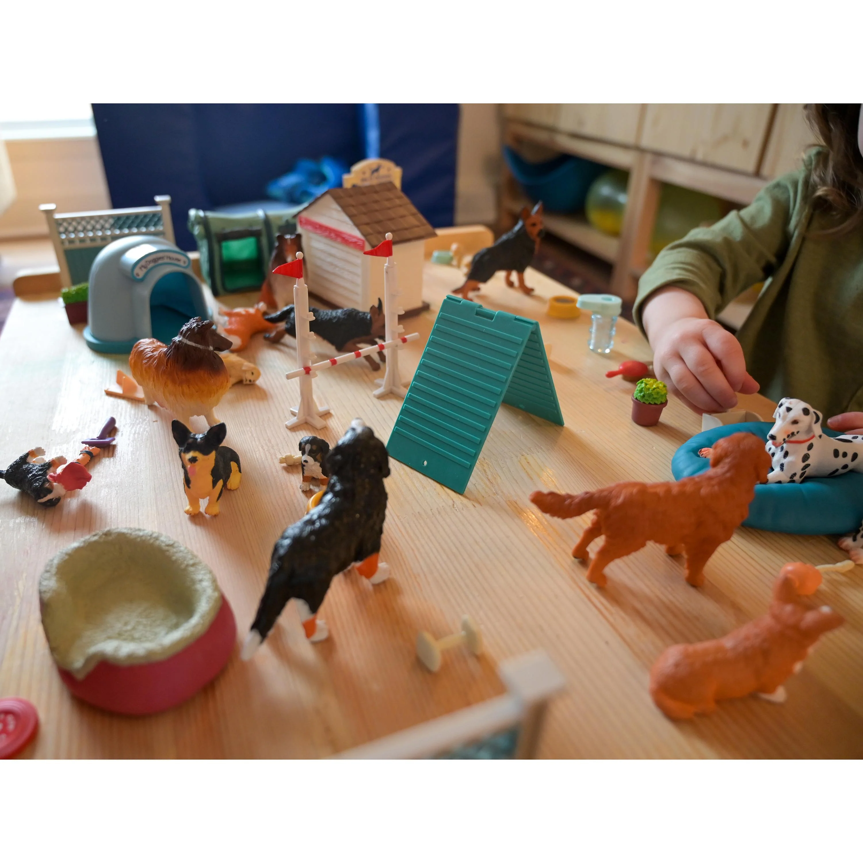 Pet Care Learning Kit | Role Play for Language, STEM & Social-Emotional Development - Image 15
