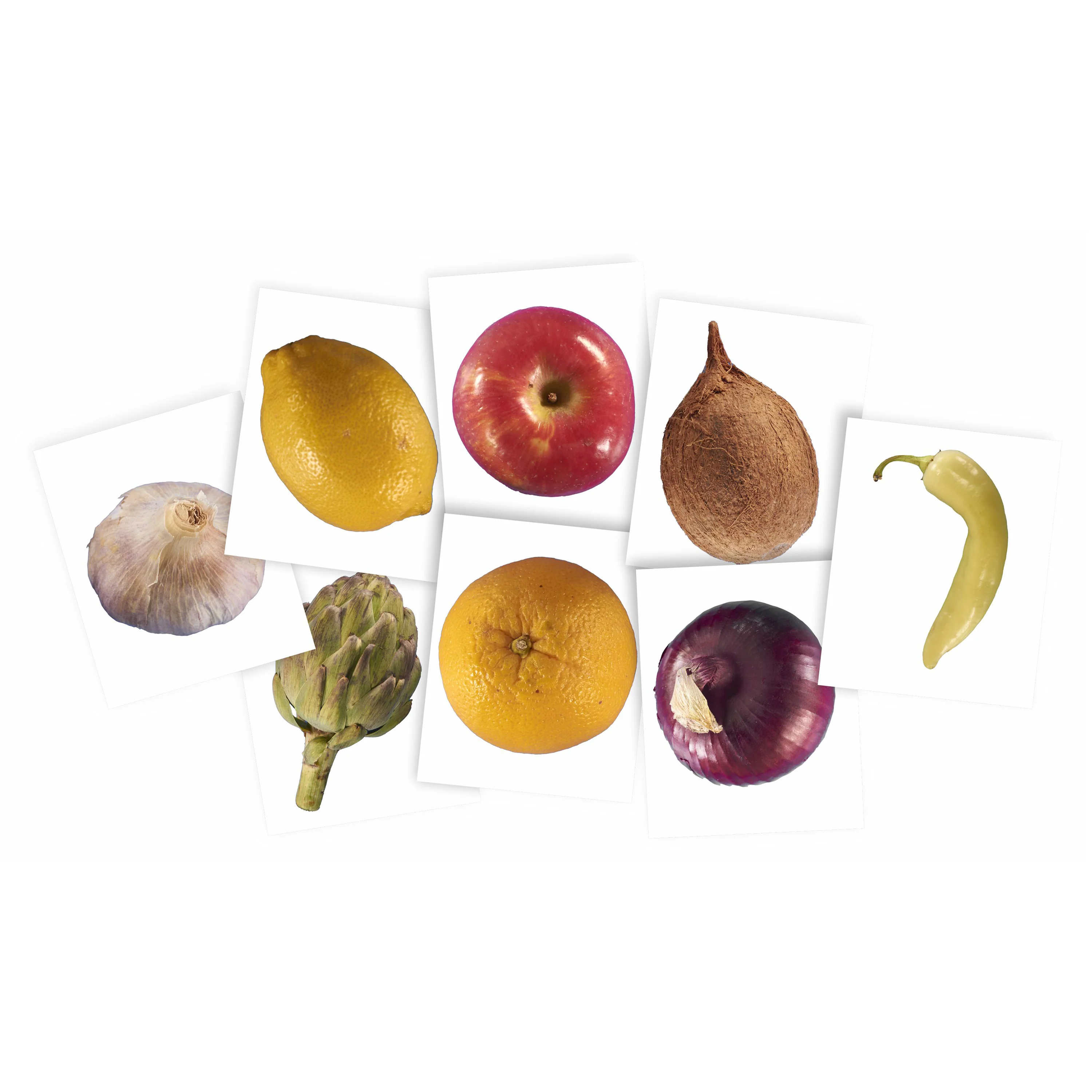 Plant X-Rays STEM Learning Card Set | Botanical Science Matching Activity with 42 Plant X-Ray Images & 42 Picture Cards - Image 6