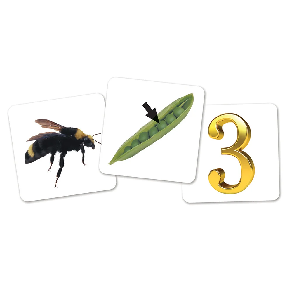 Rhyme & Sort Rockets™ - Image 5