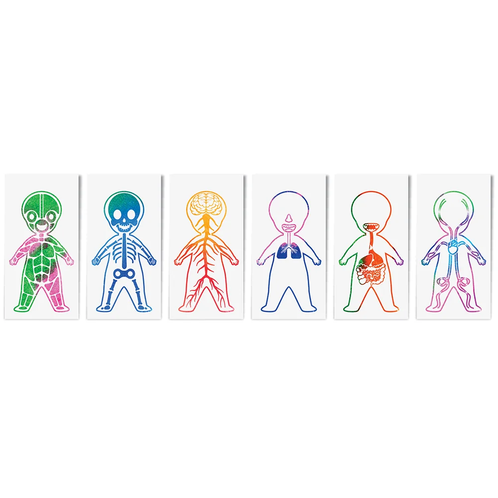 Roylco Look Inside Me Paint Sheets | Learn Anatomy Through Creative Play