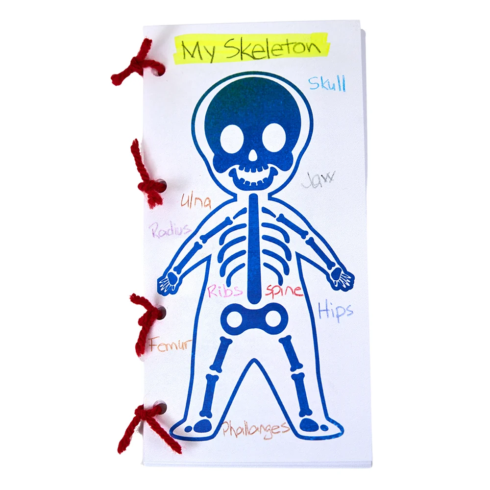 Roylco Look Inside Me Paint Sheets | Learn Anatomy Through Creative Play - Image 2