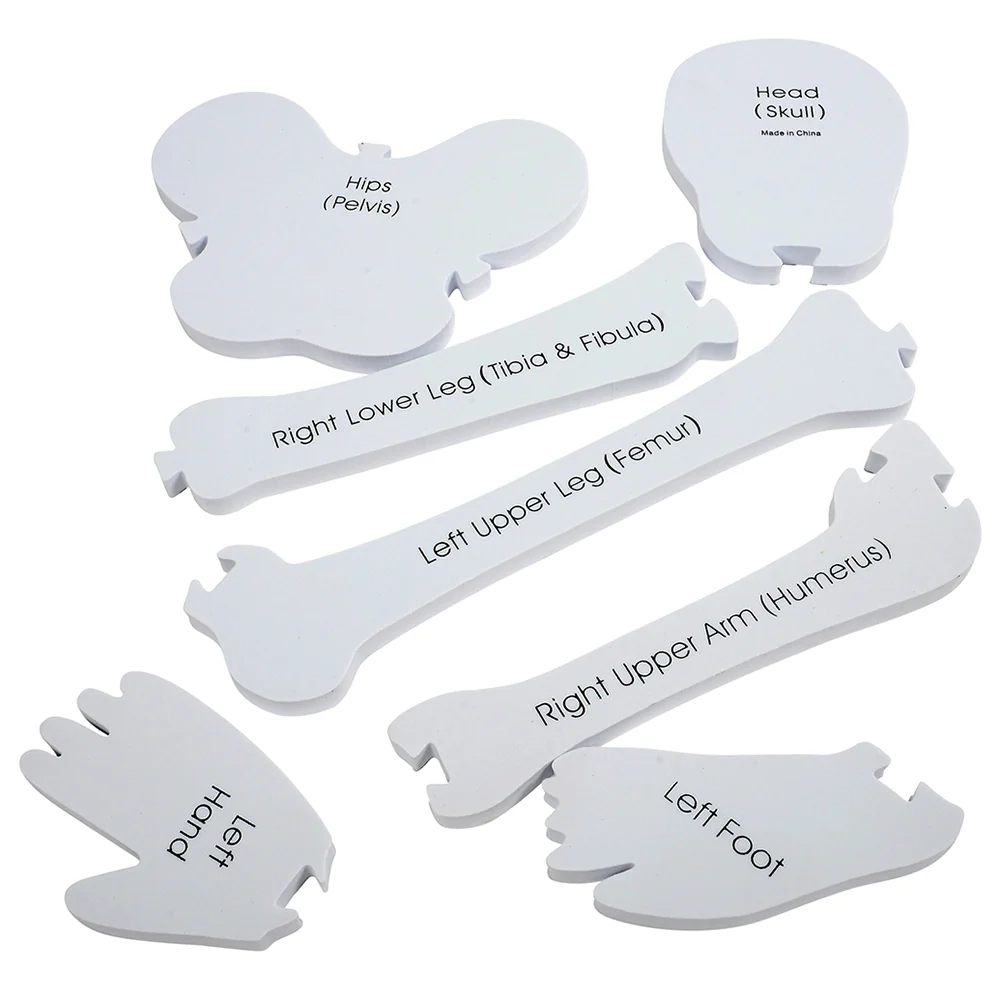 Skeleton Foam Floor Puzzle - Image 5