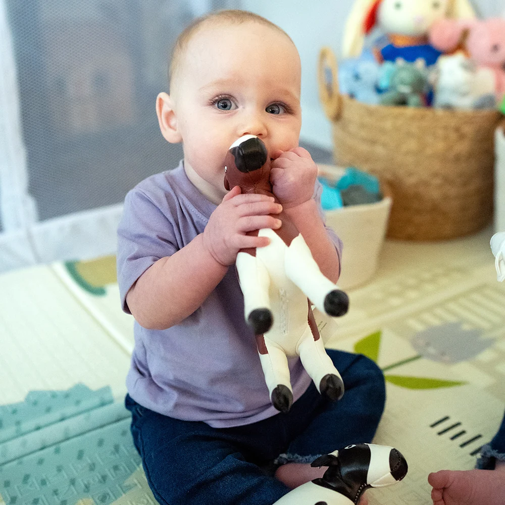Soft Vinyl Farm Animal 5-Piece Set | Durable, Wipe-Clean Pretend Play Toys - Image 11