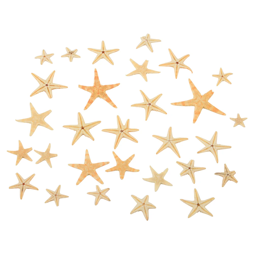 Real Starfish 30-Piece Set - Image 6