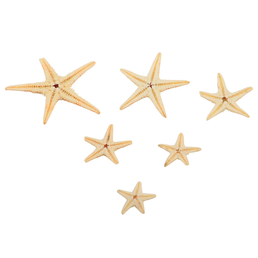 Real Starfish 30-Piece Set - Image 7