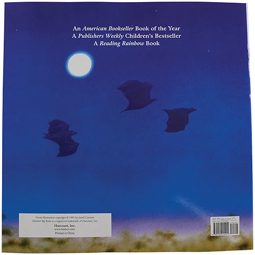 Treasured Tales Big Books-Stellaluna - Image 4