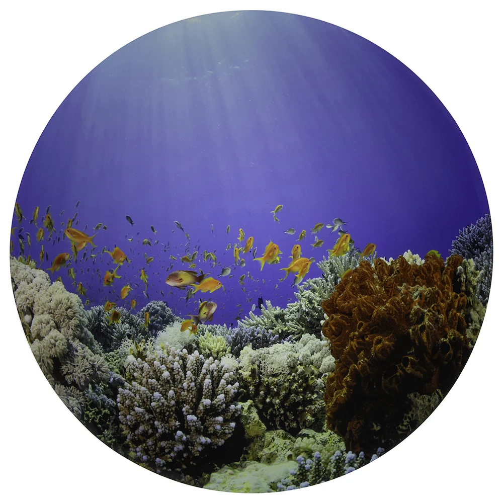 Under The Sea Sensory Play Mat for Light Tables - Image 5