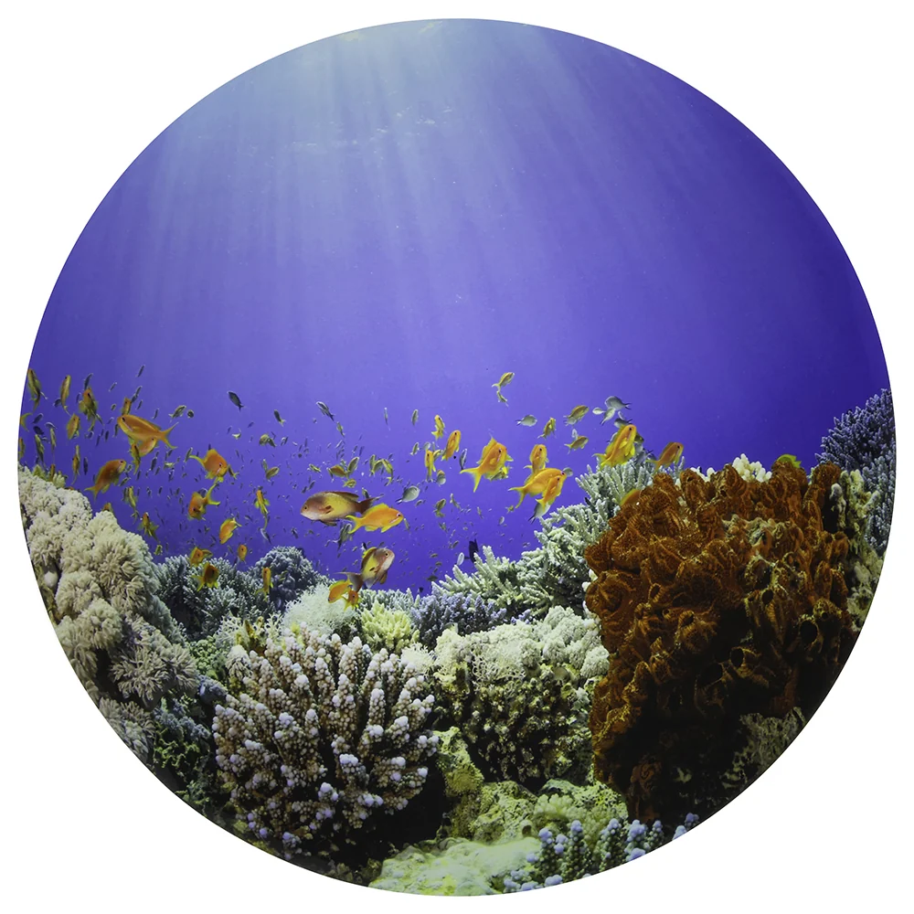 Under The Sea Sensory Play Mat for Light Tables - Image 6