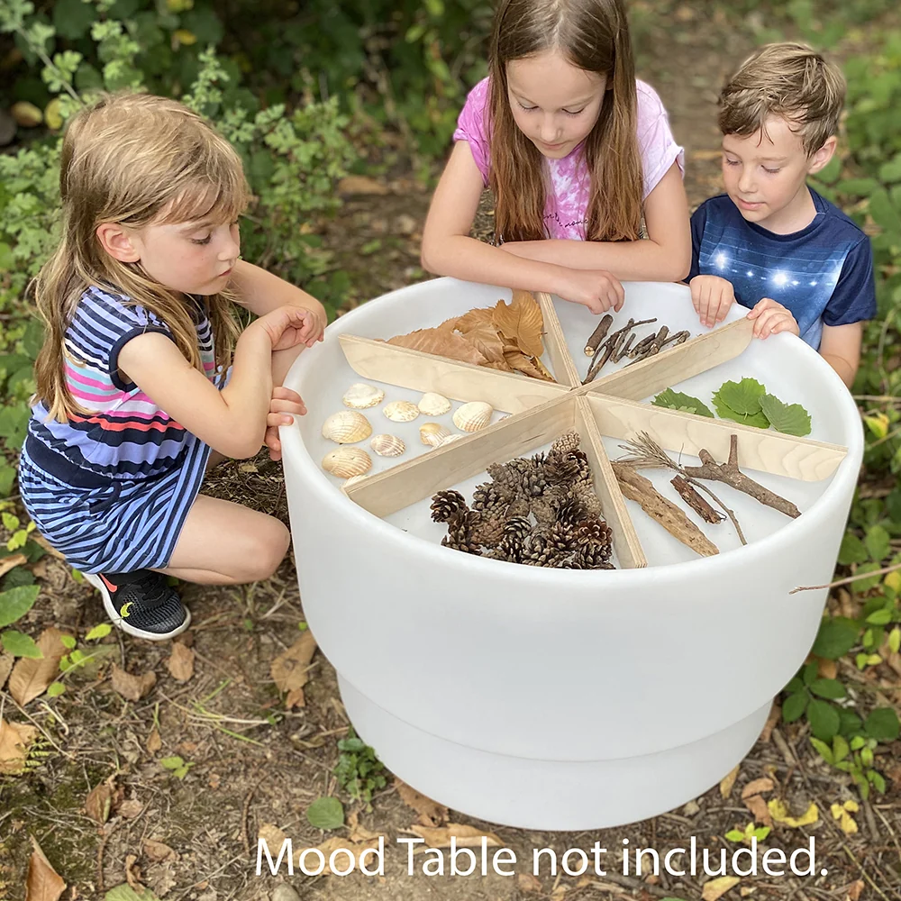 Wooden Sorting Dividers for Sensory Play - Image 4