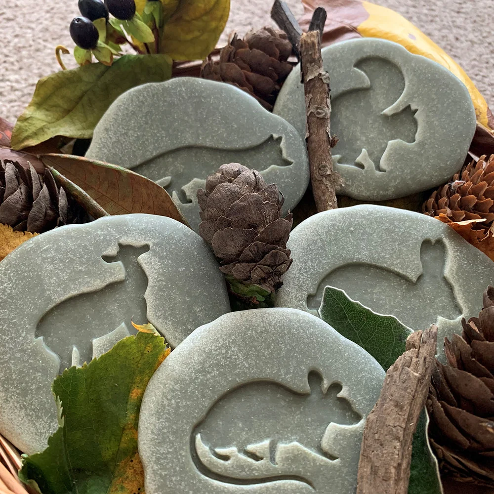 Yellow Door® Let's Investigate Woodland Footprints Double-Sided Animal Stones