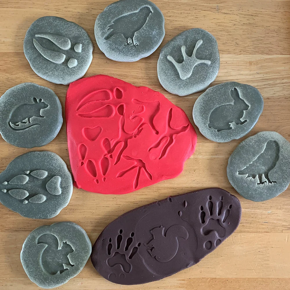Yellow Door® Let's Investigate Woodland Footprints Double-Sided Animal Stones - Image 14